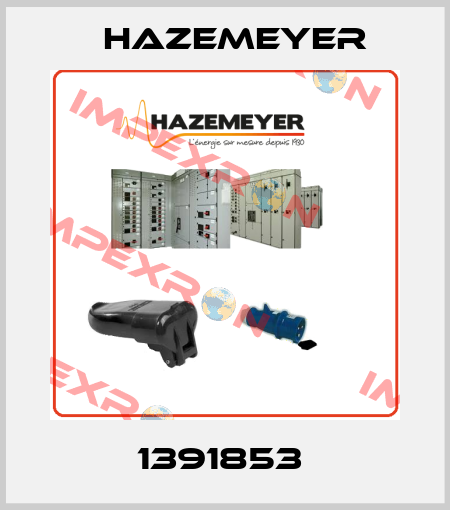 1391853  Hazemeyer