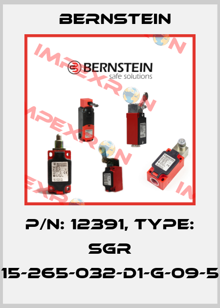 P/N: 12391, Type: SGR 15-265-032-D1-G-09-5 Bernstein