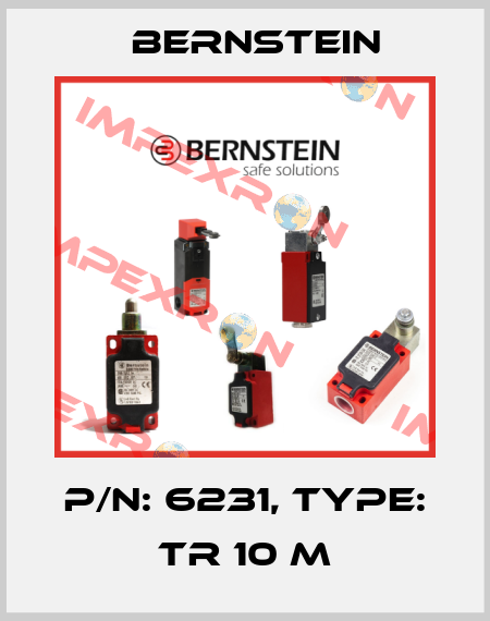 P/N: 6231, Type: TR 10 M Bernstein