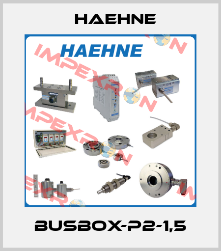 Busbox-P2-1,5 HAEHNE