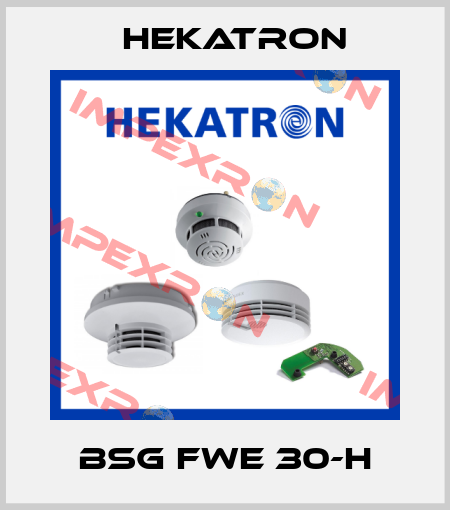 BSG FWE 30-H Hekatron