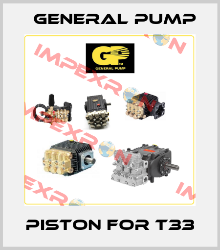 Piston For T33 General Pump
