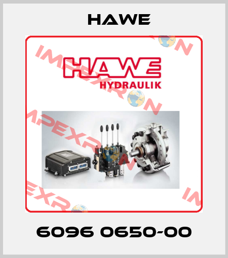 6096 0650-00 Hawe