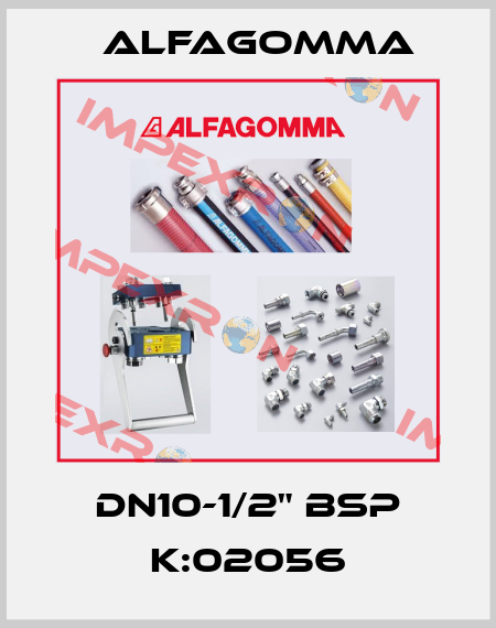 DN10-1/2" BSP K:02056 Alfagomma