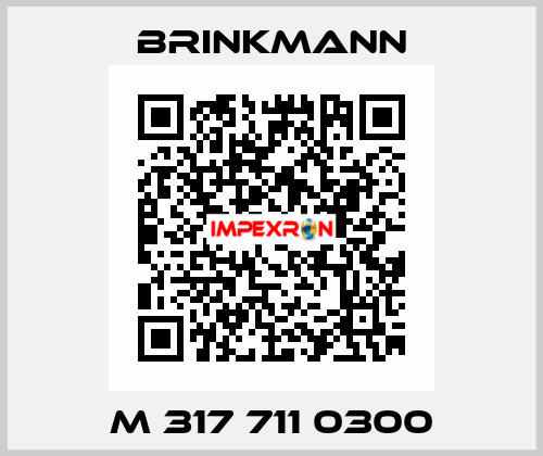 M 317 711 0300 Brinkmann