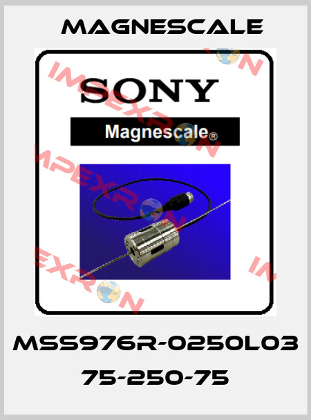MSS976R-0250L03 75-250-75 Magnescale