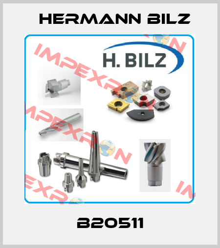 B20511 Hermann Bilz