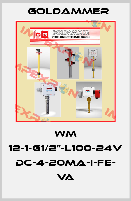 WM 12-1-G1/2"-L100-24V DC-4-20mA-I-FE- VA Goldammer