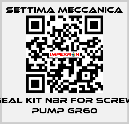 SEAL KIT NBR FOR SCREW PUMP GR60 Settima Meccanica