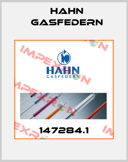 147284.1 Hahn Gasfedern