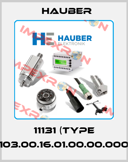 11131 (Type HE103.00.16.01.00.00.000-S) HAUBER