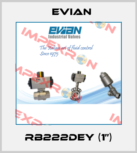 RB222DEY (1”) Evian
