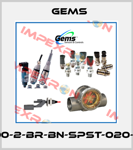 TH-700-2-BR-BN-SPST-020-GR2-1 Gems