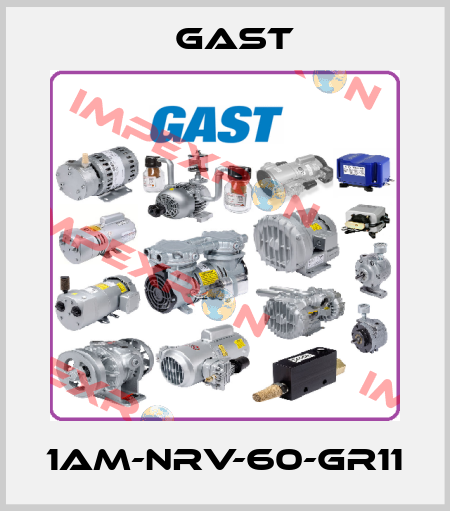 1AM-NRV-60-GR11 Gast