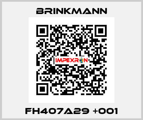 FH407A29 +001 Brinkmann