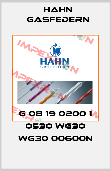 G 08 19 0200 1 0530 WG30 WG30 00600N Hahn Gasfedern
