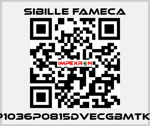 VDP1036P0815DVECGBMTKRI1T Sibille Fameca