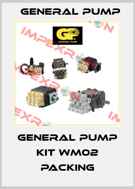 GENERAL PUMP KIT WM02 PACKING General Pump