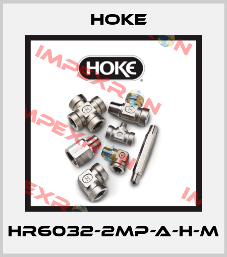 HR6032-2MP-A-H-M Hoke