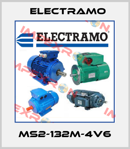 MS2-132M-4V6 Electramo