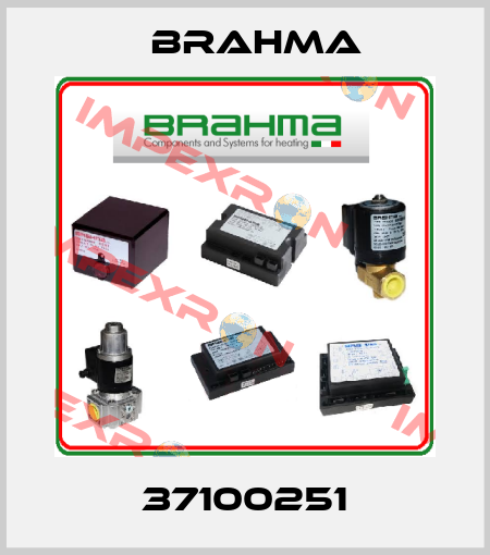 37100251 Brahma