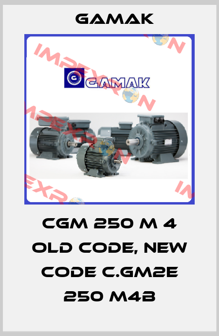 CGM 250 M 4 old code, new code C.GM2E 250 M4B Gamak