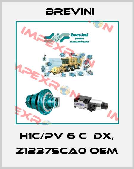 H1C/PV 6 C  DX, Z12375CA0 oem Brevini