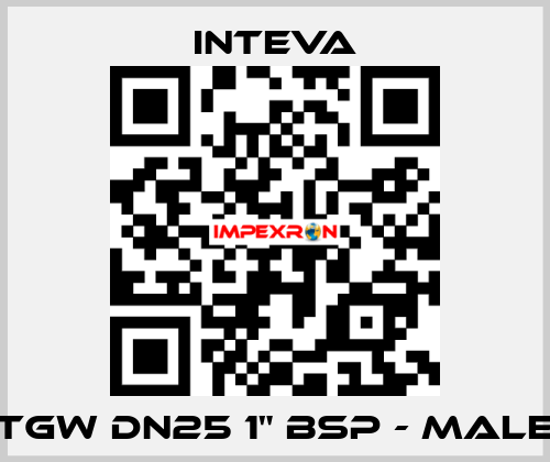 TGW DN25 1" BSP - male Inteva