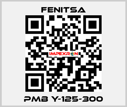 PMB Y-125-300 Fenitsa