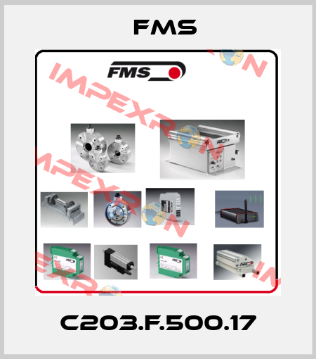C203.F.500.17 Fms