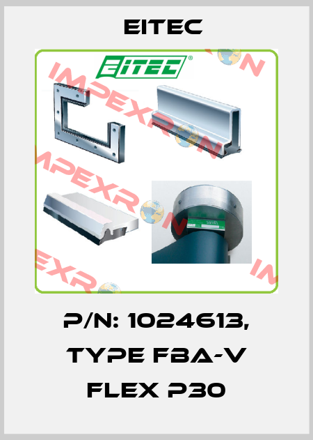 P/N: 1024613, Type FBA-V flex P30 Eitec