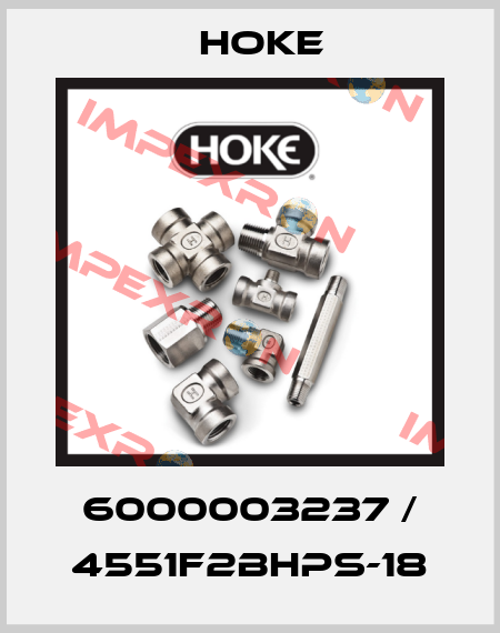 6000003237 / 4551F2BHPS-18 Hoke