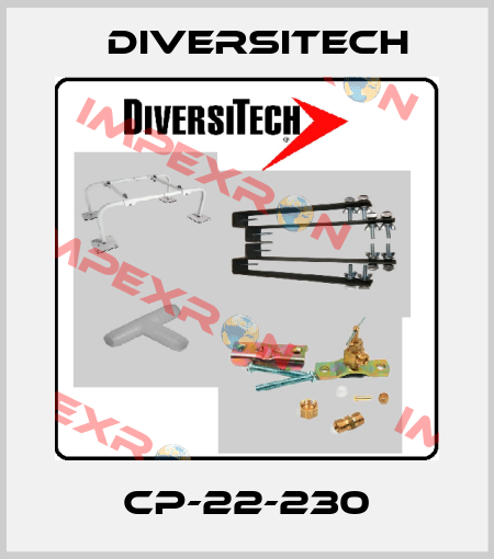 CP-22-230 Diversitech
