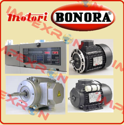 95618 Bonora