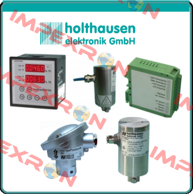 Ex-i-10-31 HOLTHAUSEN ELEKTRONIK