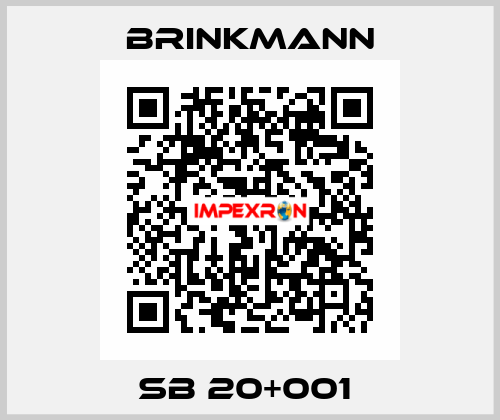 SB 20+001  Brinkmann