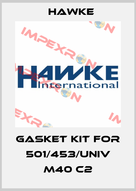 Gasket kit for 501/453/UNIV M40 C2 Hawke