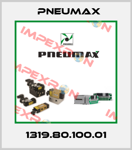 1319.80.100.01 Pneumax