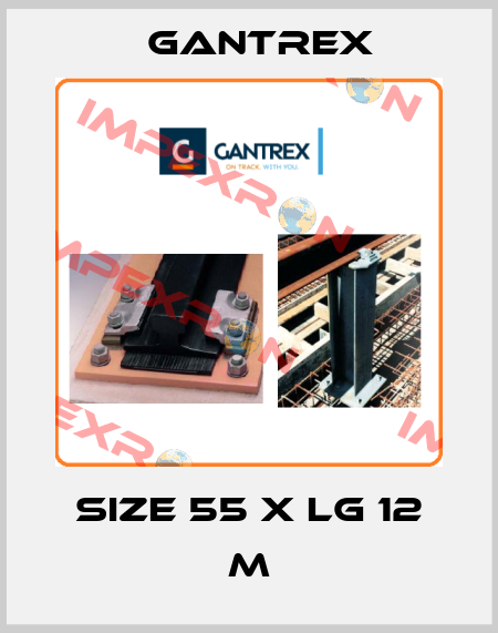 SIZE 55 X LG 12 M Gantrex