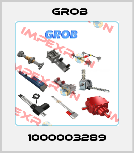 1000003289 Grob
