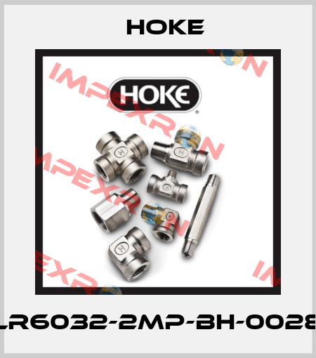 LR6032-2MP-BH-0028 Hoke
