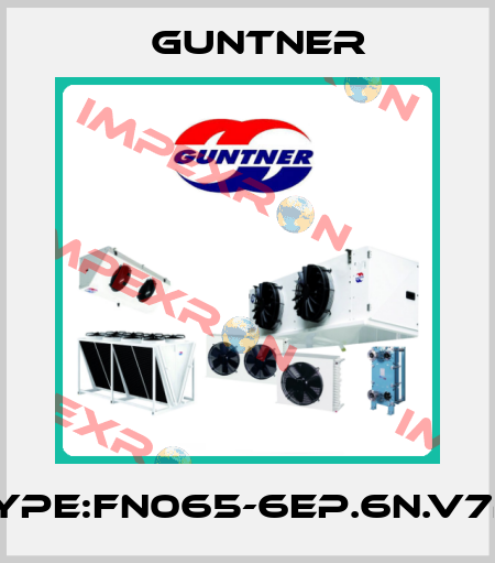 Type:FN065-6EP.6N.V7P1 Guntner