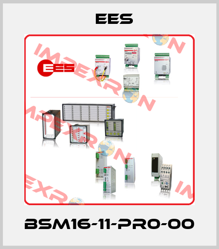 BSM16-11-PR0-00 Ees