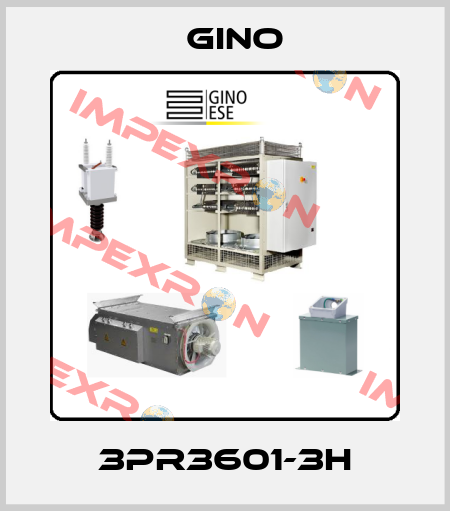 3PR3601-3H Gino