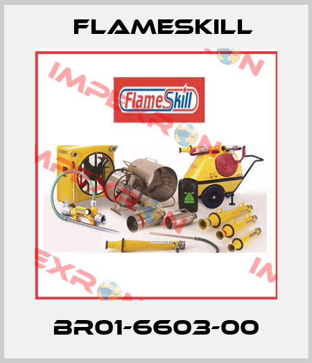 BR01-6603-00 FlameSkill