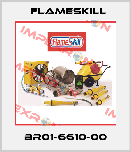 BR01-6610-00 FlameSkill