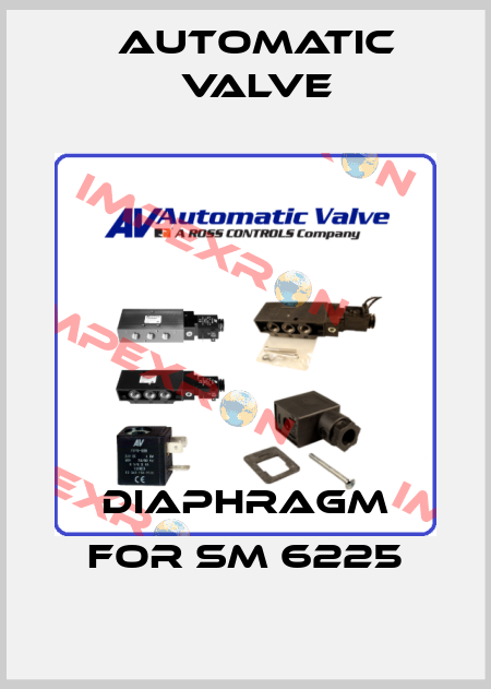 diaphragm for SM 6225 Automatic Valve