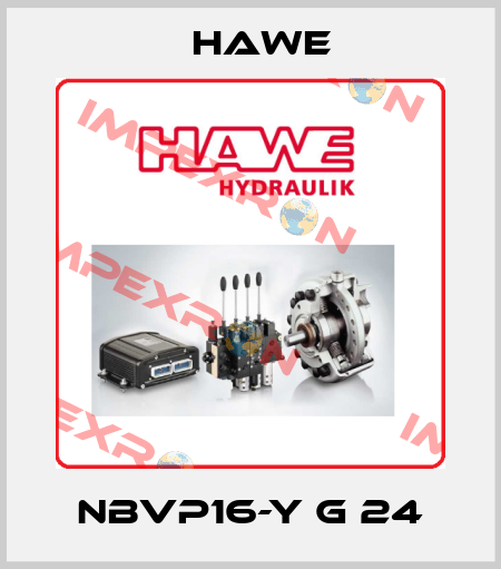 NBVP16-Y G 24 Hawe