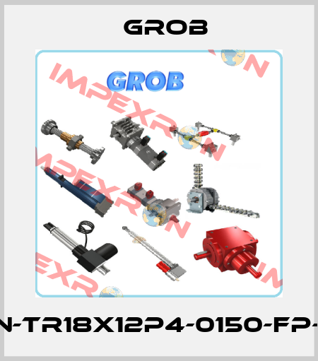 MJ1-GN-TR18x12P4-0150-FP-FB-2E Grob