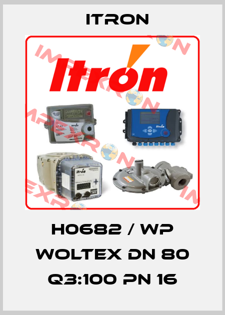 H0682 / WP Woltex DN 80 Q3:100 PN 16 Itron